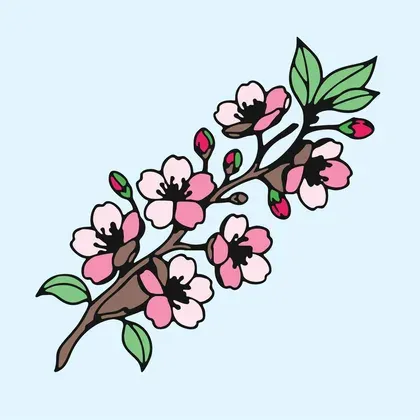 Cherry Blossom Branch color by number page
