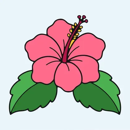 Blooming Tropical Hibiscus Flower color by number page