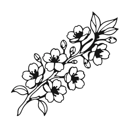 Cherry Blossom Branch coloring page